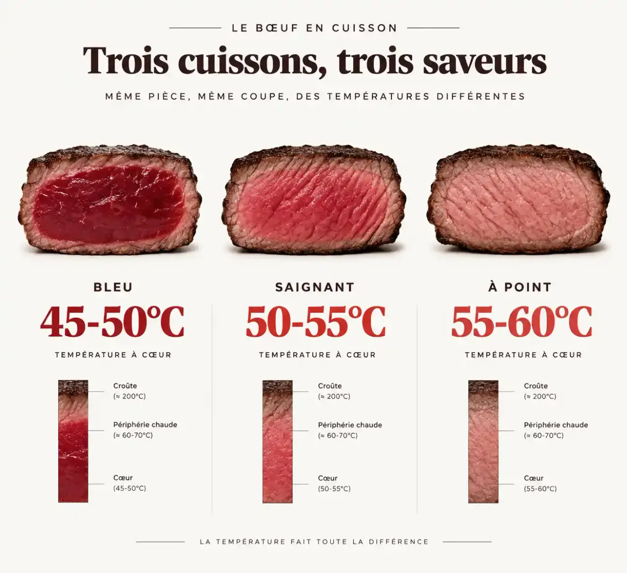 Temps de cuisson côte de bœuf : comparaison des degrés bleu, saignant et à point selon la température à cœur